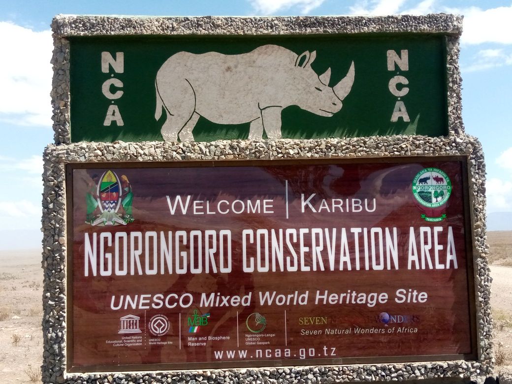 Two rhinos on the crater floor